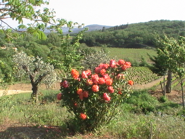 D10 Gaste fer vue sur terrasse 4